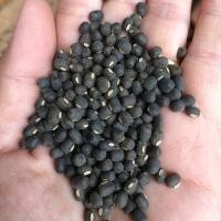 ราคา เมล็ดถั่วแขกดำ 900g. สำหรับเพาะงอก Black mungbean ถั่วดำเพาะงอก ถั่วเขียวผิวดำ ถั่วใหม่ (50311427304)