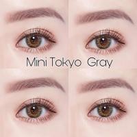 ราคา Mini tokyo gray พร้อมส่งค่าสายตา (Dreamcolor1) (2081745724)