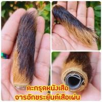 ราคา สุดยอดแห่งตะกรุดหนังเสือ จารยันต์เสือเผ่น บูชาเสริมความแคล้วคลาดปลอดภัยเสริมอำนาจบารมี ศัตรูยำเกรง มีชัยเหนือศัตรู (8015668259)