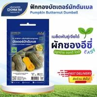ราคา Easy เมล็ดพันธุ์ฟักทอง บัตเตอร์นัท ดัมเบล 1กรัม เจียไต๋ Pumpkin Butternut Dumbell (47856918390)