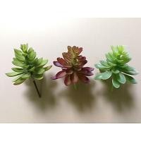 ราคา Cactus ปลอม กระบองเพชร กุหลาบหิน เหมือนจริง (5328966420)