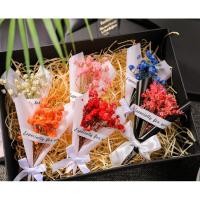 ราคา ดอกยิปโซแห้งจิ๋ว**** (21189083875)