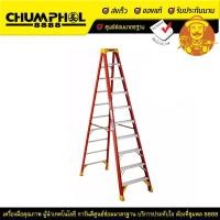 ราคา WERNER บันไดไฟเบอร์กลาส 10 ขั้น 6210AS บันได บันไดอลูมิเนียม บันไดพับได้ (16746057149)