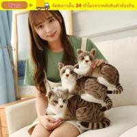 ราคา ดี้ ของเล่นตุ๊กตาสัตว์เลี้ยงของเล่นสยามแมวสีส้มแมวของขวัญตุ๊กตาจําลอง (52360793792)