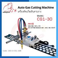 ราคา เครื่องตัดเดินตามราง เครื่องตัดเต่าออโต้เดินตามราง CG1-30B พร้อมราง Gas Cutting Machine (22076682166)