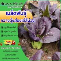 ราคา 500 เมล็ด เมล็ดพันธุ์กวางตุ้งฮ่องเต้สีม่วง เมล็ดกวางตุ้งฮ่องเต้ม่วง ผักสลัด ปลูกง่าย ผลผลิตสูง (29227162238)