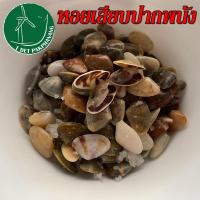 ราคา หอยเสียบ เซต 1 ขวด หอยเสียบดอง หอยเสียบปากพนัง หอยเสียบ ดอง หอยเสียบดองเกลือ ***สินค้าสดจากชาวบ้าน*** (17325194516)