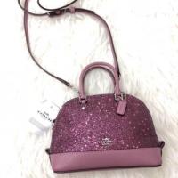 ราคา Coach bag โดมจิ๋ว พร้อมสายสะพายครอสบอดี้ (1547775909)