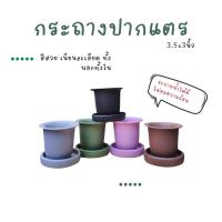 ราคา กระถางปากแตรขนาด 3.5 × 3 นิ้ว (42079264908)