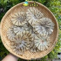 ราคา ปลาวงจิ๋วรสจืดตากแห้ง (9273245405)