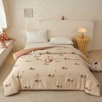 ราคา เกาหลีผ้าฝ้ายเกาหลี Doudou ผ้านวมฤดูใบไม้ผลิฤดูใบไม้ร่วงผ้านวมคู่ฤดูใบไม้ร่วงฤดูหนาวหนาผ้านวม Core หอพักนักเรียนเดี่ยว Comforting Quilt (42481564633)