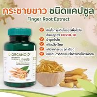 ราคา กระชายขาว 60 แคปซูล ต้านไวรัส ORGANOID (ออร์แกนอยด์) Sacha Inchi (9870805994)