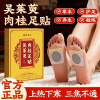 ราคา ขายร้อน!พร้อมสต็อก ไม้สุนัข อบเชยแผ่นเท้าแพทช์เท้าคู่มือ ไม่จํากัดเพศ หยวนเปียกเย็นแพทช์สมุนไพรเท้าแพทช์ (46958411622)