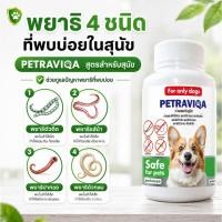 ราคา Virapet ปัญหาพยาธิสุนัข ครอบคลุม 6 ชนิด ถ่ายพยาธิ หมาผอม เบื่ออาหาร เสริมภูมิ ขนสวย แข็งแรง (42281124479)