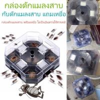 ราคา ที่ดักแมลงสาบ กับดักแมลงสาบ ดักแมลงสาบ กล่องดักแมลงสาบ กำจัดแมลงสาบ แมลงสาบ ไม่มีเหยื่อล่อ (นำกลับมาใช้ใหม่ได้) (20284682779)