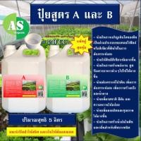 ราคา แพ๊คคู่สุดคุ้ม‼️ปุ๋ยสำหรับผักไฮโดรโปนิกส์ สูตร AB บรรจุ 5 ลิตร พร้อมใช้ (22043952282)