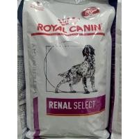 ราคา Royal Canin Renal select 2 kg. อาหารสำหรับสุนัขโรคไตทานยาก (15717708217)