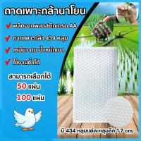ราคา ถาดเพาะกล้านาโยน (แบบหนา) 434 หลุม 50/100 ชิ้น ถาดกล้านาโยน ถาดเพาะนาโยน ถาดปลูกกล้านาโยน ปลูกข้าว (51859532000)