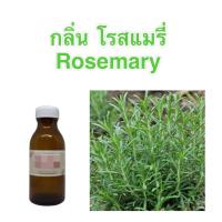 ราคา หัวน้ำหอมทำสบู่กลิ่นโรสแมรี่ Rosemary (14505682278)