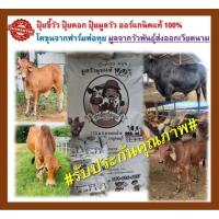 ราคา ปุ๋ยคอก ปุ๋ยขี้วัว สารอาหารครบถ้วน จากโคขุนแท้ 100% 2 kg (22284211299)