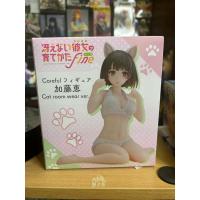 ราคา Kato megumi Cat room wear ver. มือ1 (20282890582)