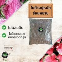 ราคา ใบก้ามปูหมัก ร่อนหยาบ ใบก้ามปูแท้ 100% (11904644934)