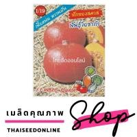 ราคา **เปลี่ยนชื่อเป็นโอซูโน้่ รูปเดิม** เมล็ดพันธุ์ ฟักทองญี่ปุ่นสีส้ม โอซาก้า ตราตองสาม （333）เครือสามเอ (AAA） (9700529137)