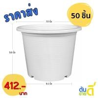 ราคา กระถาง กระถางต้นไม้ ทรงกลม เบอร์ 8 7.5 นิ้ว สีขาว (18943943372)