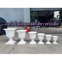 ราคา แจกันโรมันพลาสติกสีขาว กระถางโรมัน ทรงเตี้ย สีขาว . (28760734398)
