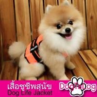 ราคา เสื้อชูชีพสุนัข Dogtalog แบบเสื้อกล้าม สีส้ม (229322575)