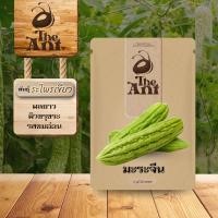 ราคา เมล็ดพันธุ์มะระจีน จีนไพรเขียว เมล็ดพันธุ์ออร์แกนิค เมล็ดพันธุ์หายาก ปลูกผักเอง สวนผัก ชุดปลูกผัก (40979043792)
