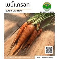 ราคา เมล็ดพันธุ์ผักสวนครัว เบบี้แครอท ( ขนาด 0.2 กรัม ) รหัสสินค้า 6012 (18147275227)