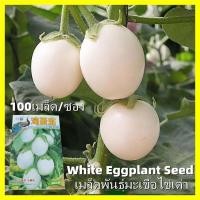 ราคา 100เมล็ด เมล็ดพันธุ์มะเขือไข่เต่า เมล็ดมะเขือไข่เต่าขาว (White Eggplant Seeds) Vegetables Seeds เมล็ดมะเขือไข่เต่า Plant (55610137123)