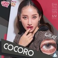 ราคา Cocoro gray พร้อมส่งค่าสายตา (1887795026)