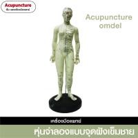 ราคา หุ่นจำลองแบบจุดฝังเข็มชาย​50cm (3953669612)