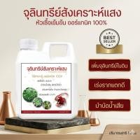 ราคา จุลินทรีย์สังเคราะห์แสง สูตรหัวเชื้อเข้มข้น (ขนาด 1 ลิตร) (22350671802)