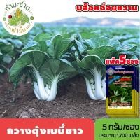 ราคา [แพ็ค 5 ซอง] 3A เมล็ดพันธุ์ กวางตุ้งเบบี้ขาว ขนาดซองละ5กรัม ประมาณ1,700เมล็ด/ซอง PAK CHOI ผักกาดกวางตุ้ง บล็อกฉ่อย (4937526253)