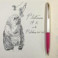 ราคา #003 Platinum 14K Gold Nib Fountain Pen : ปากกาหมึกซึม Platinum หัวทอง 14K (4321347552)