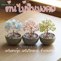 ราคา ✨จัดส่งจากไทย✨ต้นไม้ หินมงคล เสริม ฮวงจุ้ย โชคลาภ ร่ำรวย 11 CM ของมงคล ของขวัญ ต้นไม้มงคล อเมทิสต์ โรสควอตซ์ ต้นไม้ปลอม (56000240632)