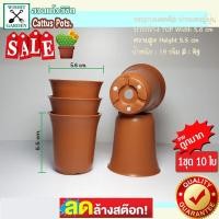 ราคา กระถางแคคตัส ปากแตรทรงญี่ปุ่น ขนาด 2.5 นิ้ว สีอิฐ 1 ชุด 10 ใบ กระถางใส่ไม้อวบน้ำทรงญี่ปุ่น กระถางใส่ต้นไม้ กระถางพลาสติก (6596905906)