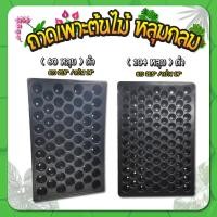 ราคา ถาดเพาะต้นอ่อน ถาดเพาะชำ ถาดเพาะเมล็ด แบบหลุมกลม 60 / 104 หลุม (13758459912)