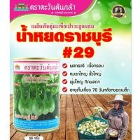 ราคา เมล็ดพันธุ์มะเขือน้ำหยดราชบุรี 29 ขนาด 50 กรัม (3285113089)