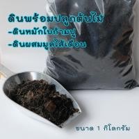 ราคา ดินปลูกต้นไม้ สูตรพร้อมปลูก ดินหมักใบก้ามปู ขนาด 1 กิโลกรัม ดินปลูกไม้ใบ ไม้ดอก ไม้ฟอกอากาศ (15221161428)