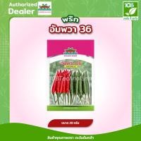 ราคา เมล็ดพันธุ์ พริกขี้หนูลูกผสม อัมพวา 36 ( 20/50 กรัม ) ตราตะวันต้นกล้า (3535484703)