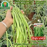 ราคา 40 เมล็ด เมล็ดพันธุ์ถั่วฝักยาวไร้ค้าง Dwarf Long Beans Seeds for Planting Vegetable Seeds เมล็ดพันธุ์ ถั่วฝักยาว แคระ (40123454638)
