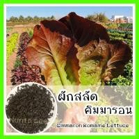 ราคา พร้อมส่ง ❗ รหัส 127 เมล็ดพันธุ์แท้ OP แท้ ผักสลัด คิมมารอน - Cimmaron Romaine Lettuce เมล็ดผักสลัด ผักสลัด (4491747135)