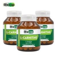 ราคา [แพ็ค 3 ขวดสุดคุ้ม] แอลคาร์นิทีน ไบโอแคป L-Carnitine แอล-คาร์นิทีน แอล คาร์นิทีน LCarnitine Biocap L Carnitine (19485184651)