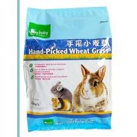 ราคา Jolly Hand-Picked Wheat Grass 350 กรัม ต้นข้าวสาลี สำหรับกระต่าย แกสบี้ หนูตะเภา ชินชิล่า สัตว์ฟันแทะ 6 เดือนขึ้นไป (6151309759)