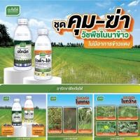 ราคา ชุด คุม - ฆ่า ในนาข้าว อโทนิค ขนาด 100 ซีซี + บิวต้า โปร ขนาด 1 ลิตร #ใช้กำจัดวัชพืชในนาข้าว ไม่มีอาการข้าวแดง (27955506081)