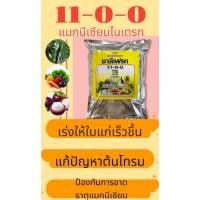 ราคา ปุ๋ยเกล็ดชาลีเฟรท 11-0-0 (แมกนีเซียมไนเตรท) แก้ปัญหาต้นโทรมหลังการเก็บเกี่ยว เร่งการสร้างคลอโรฟิลด์ของพืช 1 (กิโลกรัม) (20684212382)